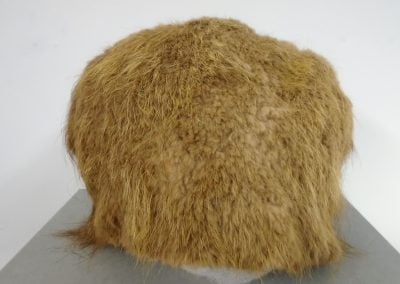 Ted Ellis' Fur Hat