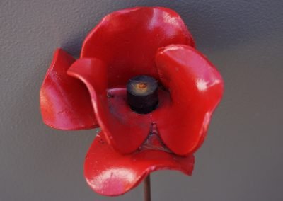Tower of London Poppy