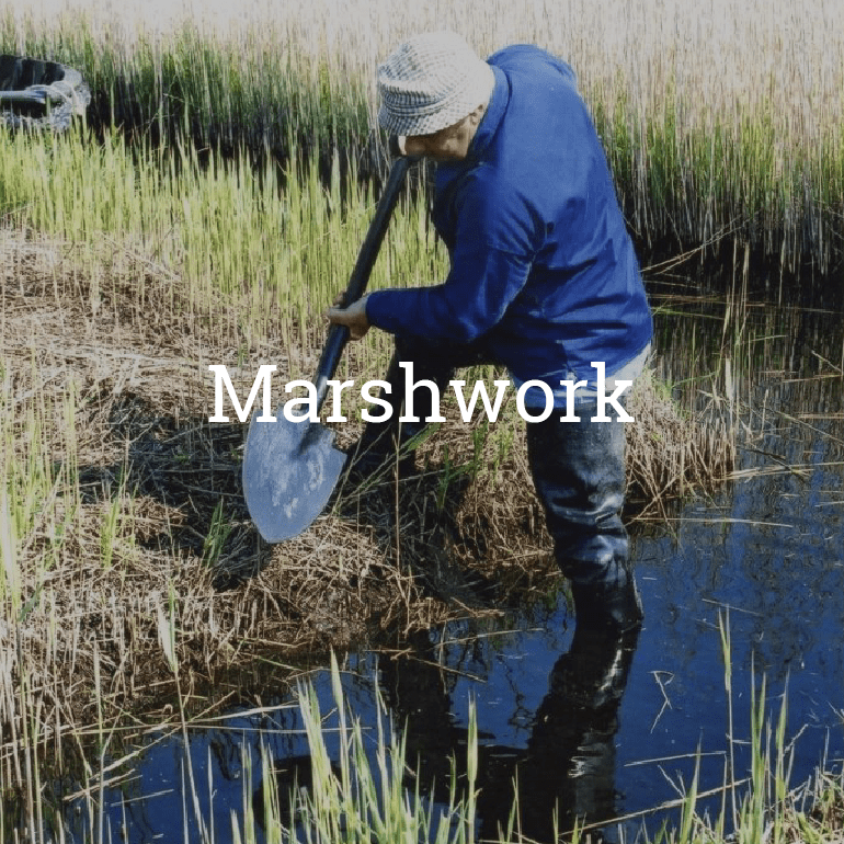 Marshwork Marshwork