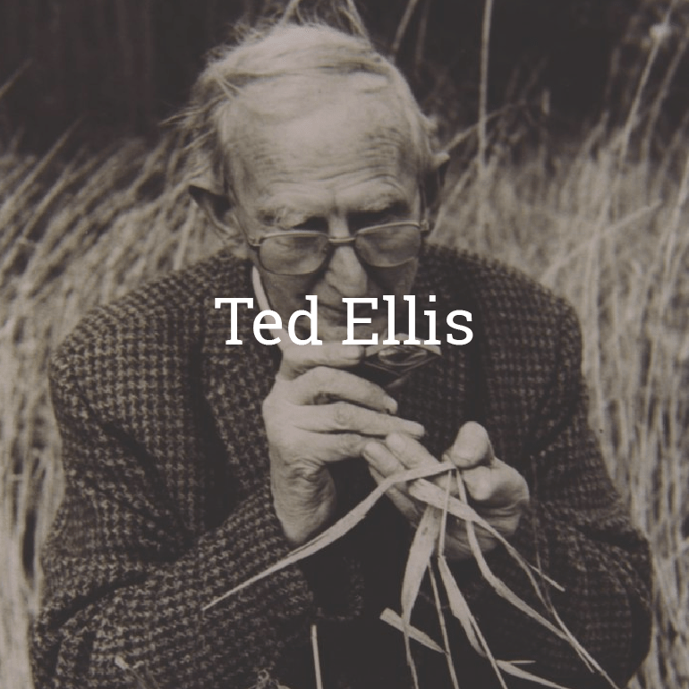Ted Ellis Ted Ellis